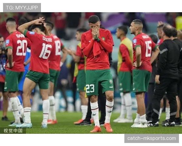 新王加冕！世界杯最新赛季精彩回顾与下赛季看点前瞻